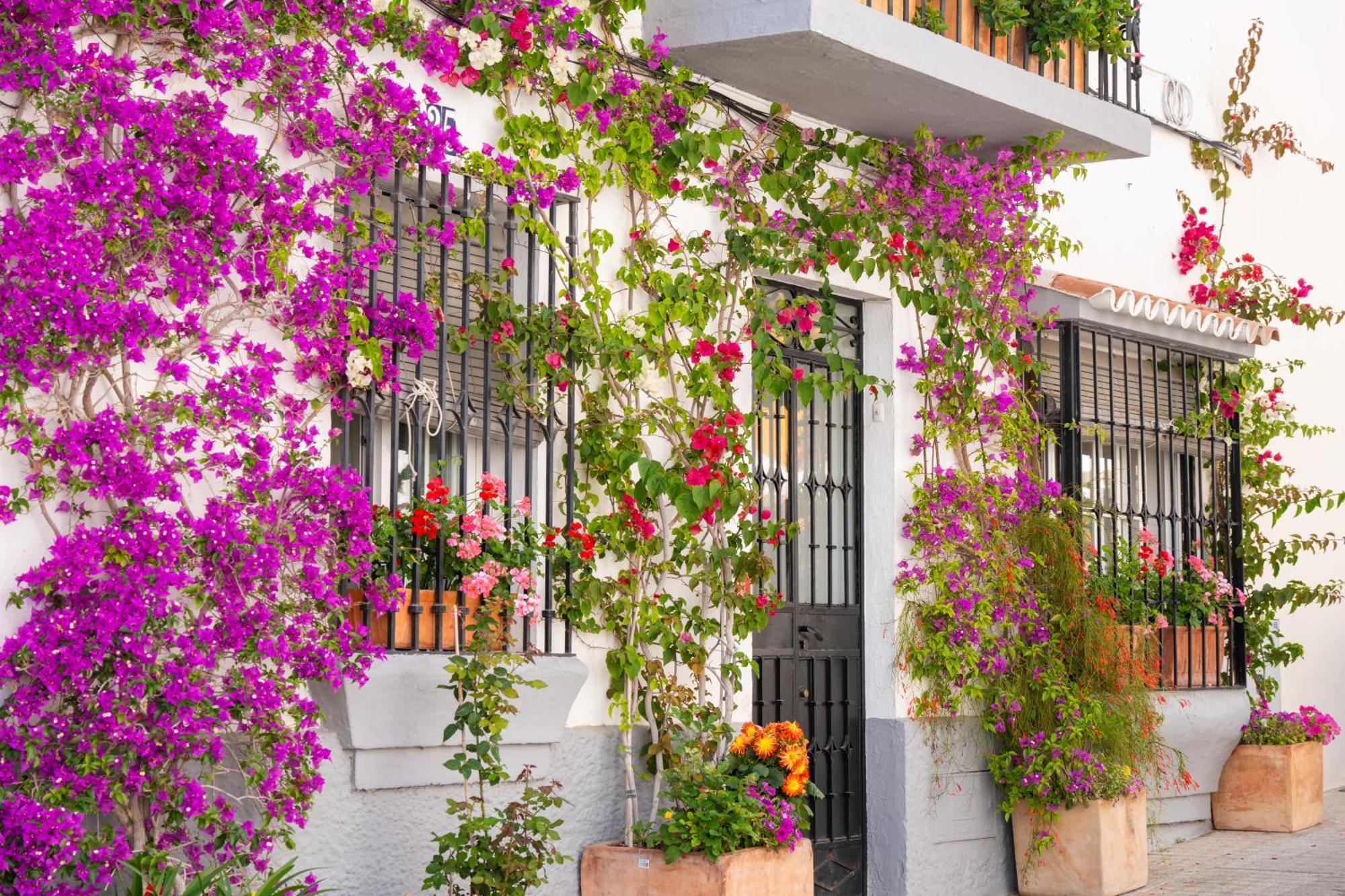 Apartamento Jardines Del Mar 527 Marbella Exterior foto